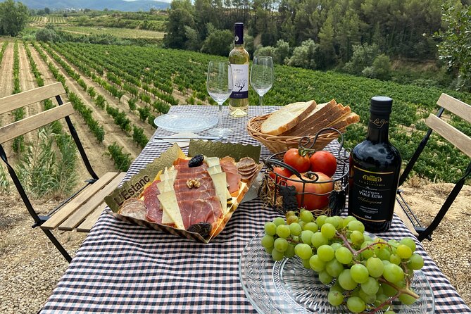 Cava tour to 3 family wineries with hotel pick-up - Who should book it, and who should skip it?