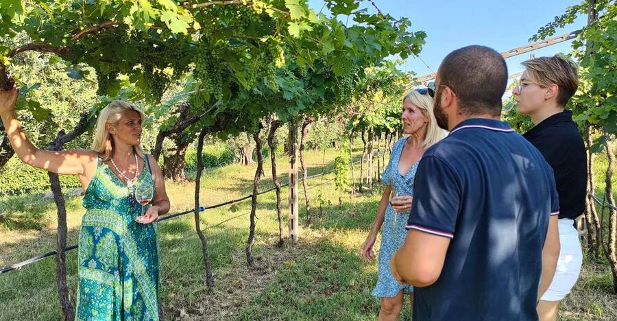 Cavaion: Lake Garda Wine & Food Tasting with Vineyard Tour - A quiet vineyard above Lake Garda