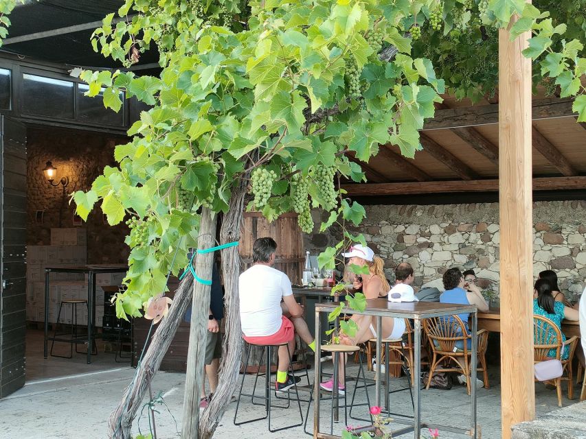 Cavaion: Lake Garda Wine & Food Tasting with Vineyard Tour - Walking the vines and learning the work