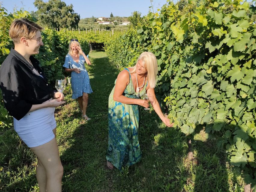 Cavaion: Lake Garda Wine & Food Tasting with Vineyard Tour - Sopressa, salami, cheese, and local mostarda