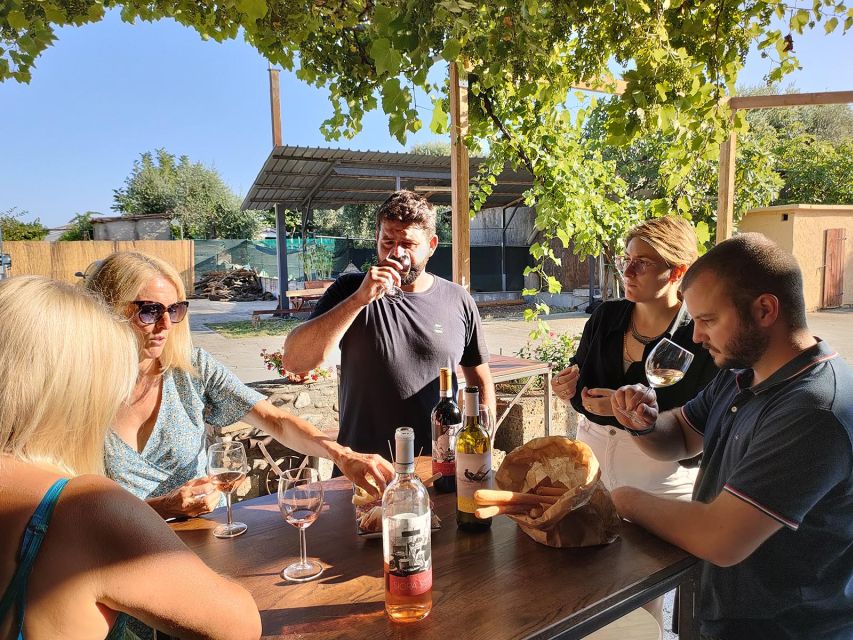 Cavaion: Lake Garda Wine & Food Tasting with Vineyard Tour - Should you book the Cavaion vineyard tasting?