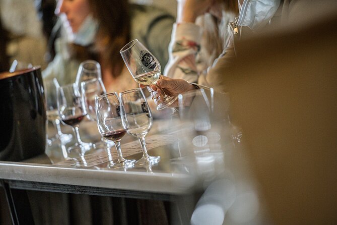 Caves Ambacia, Tour and Wine Tasting in Amboise, Loire Valley - Six wines, local pairings, and a better way to taste