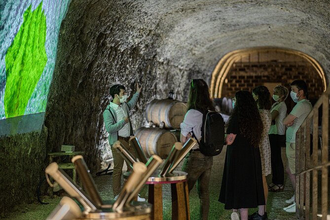 Caves Ambacia, Tour and Wine Tasting in Amboise, Loire Valley - Is $33.88 good value?