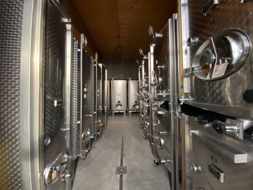 Cellar visit and Alsace wine tasting with a feminine touch - Arriving at Domaine Gueth