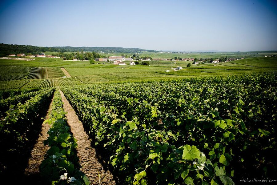 Champagne: Canard-Duchêne Champagne House Tour - Booking, cancellation, and practical value