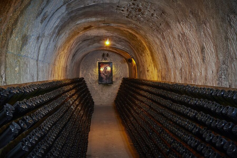 Champagne: Canard-Duchêne Champagne House Tour - Walking through the vineyard