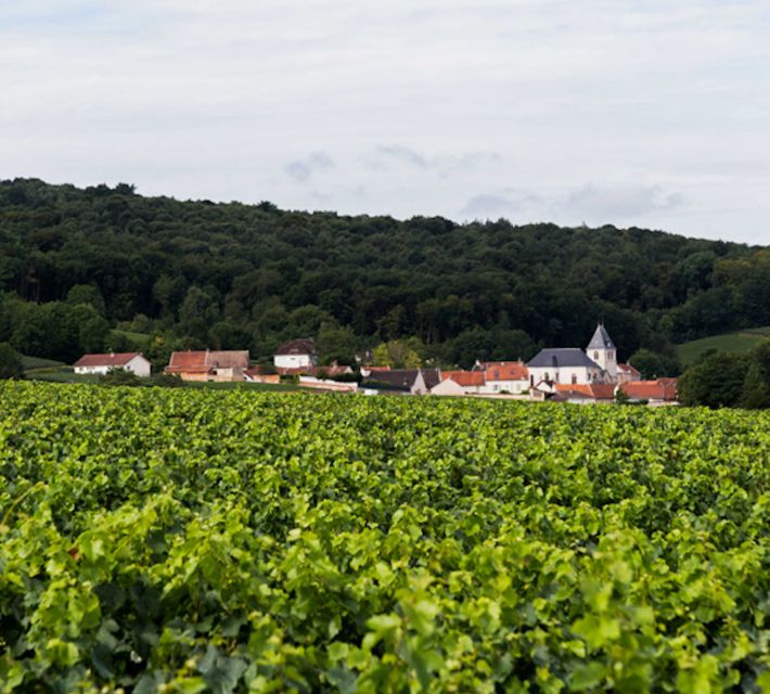 Champagne: Canard-Duchêne Champagne House Tour - How this compares with longer Champagne outings
