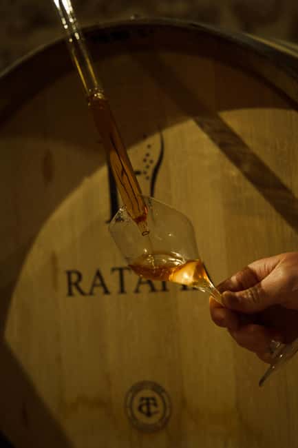 Champagne Cellar Experience: Explore our historic cellars - Three champagnes, three places