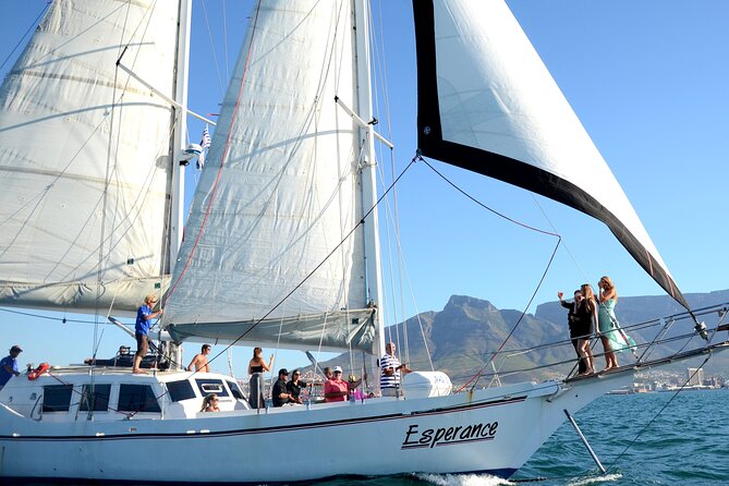 Champagne Cruise (Pre-Sunset) from Cape Town - What the hour on the water is like
