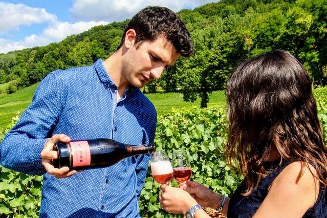 Champagne Day Trip from Paris with 8 Tastings & Lunch - What you will learn about Champagne