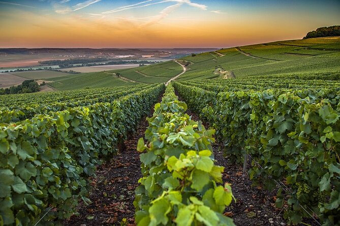 Champagne Day Trip from Reims including 9 Champagne Tastings - Épernay, lunch, and the Avenue de Champagne