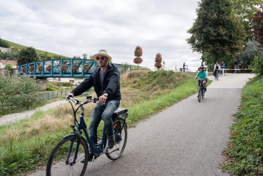Champagne: E-Bike Champagne Day Tour with Tastings and Lunch - Should you book it?