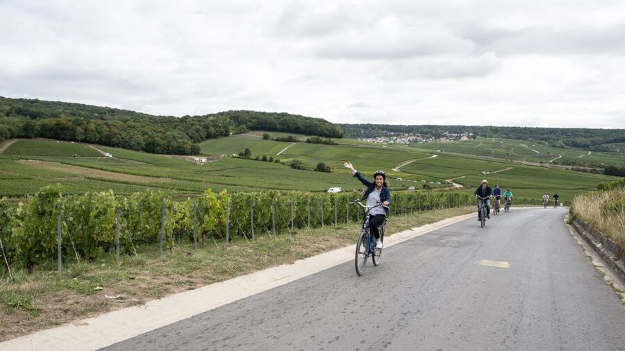 Champagne: E-Bike Champagne Day Tour with Tastings and Lunch - The cellar, four tastings, and lunch at Le Clos Corbier