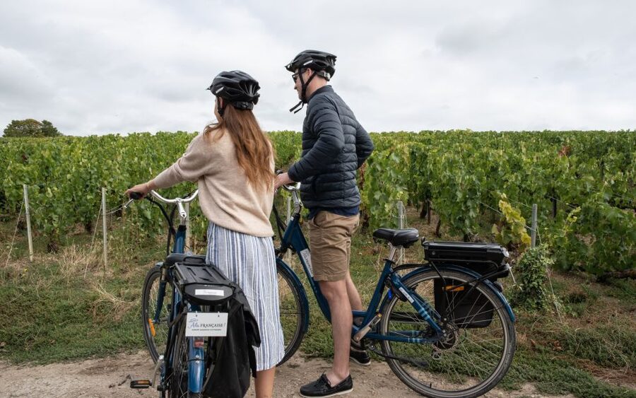 Champagne: E-Bike Champagne Day Tour with Tastings and Lunch - Who should book this Champagne day?