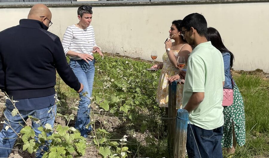 Champagne Munoz Bruneau : Half Day Visit and Tasting - Who will get the most from this experience