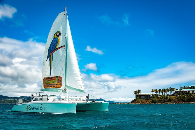 Champagne Sunset Sail from Margaritaville - Music, Birthdays, and the Social Side
