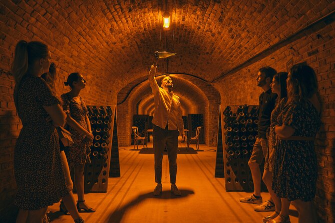 Champagne Tasting Class and Lunch near Epernay - What the $108.61 price includes