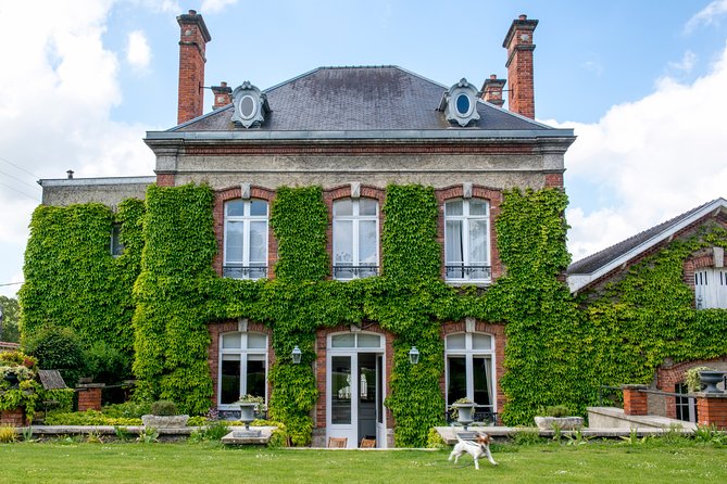 Champagne Tasting Class and Lunch near Epernay - Cellars dug in the 1850s and the Champagne method