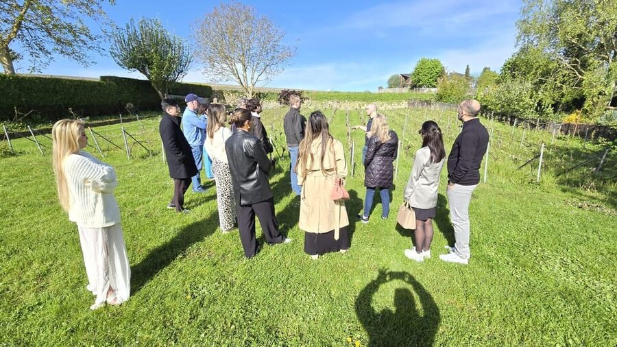 Champagne Vineyard Experience: Delve into the terroir - The tasting: Champagne and Ratafia Champenois