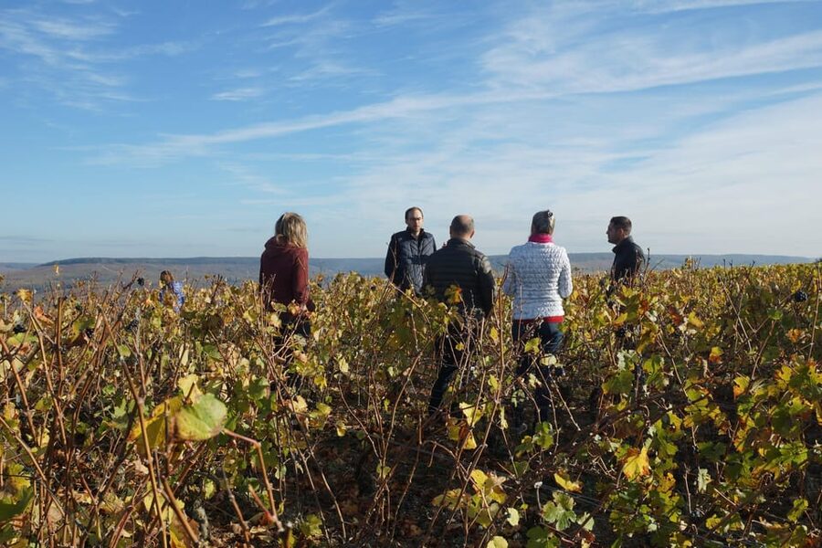 Champagne Vineyard Experience: Delve into the terroir - Practical details before you book