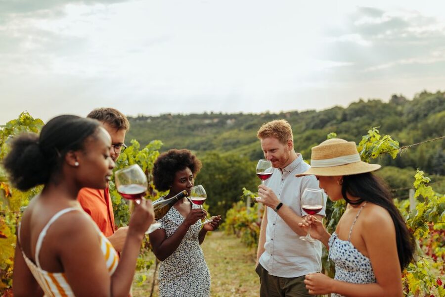 Charleston: Wadmalaw Island Wine Tasting and Tea Garden Trip - Angel Oak Park and the first big sight