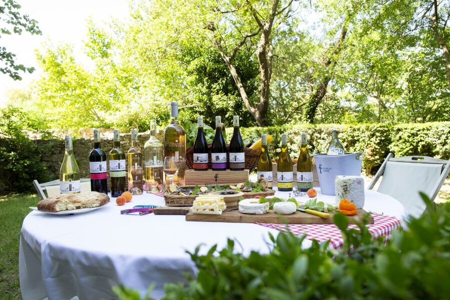 Château de Luc: Unique visit and wine tasting - Entering a family-run estate in Languedoc