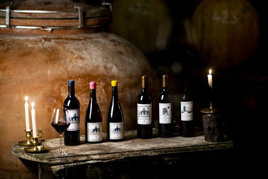 Château de Luc: Unique visit and wine tasting - From the 19th-century wine boom to the revolt of 1907