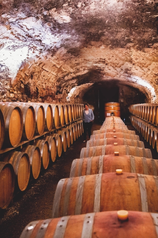 Château de Luc: Unique visit and wine tasting - Tasting organic wines in the former stable