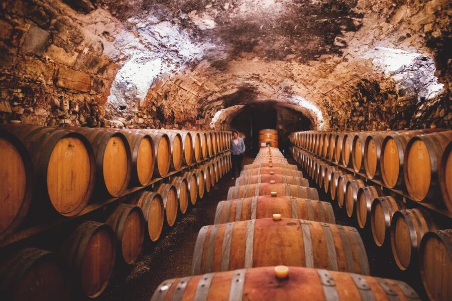 Château de Luc: Unique visit and wine tasting - What the $15 price really buys you