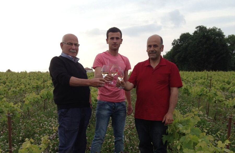 Château du Bois-Huaut: Cellar Tour and Wine Tasting Class - A family estate near Nantes with a long local story