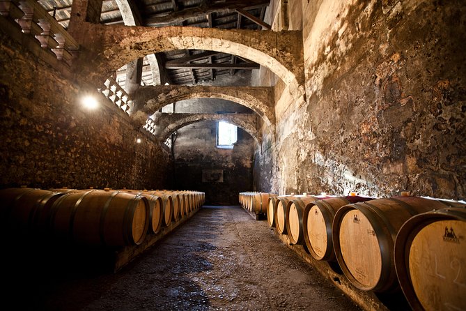 Chateau du Taillan and Park including Wine Tasting Tour - The vineyard view and the work behind the bottle
