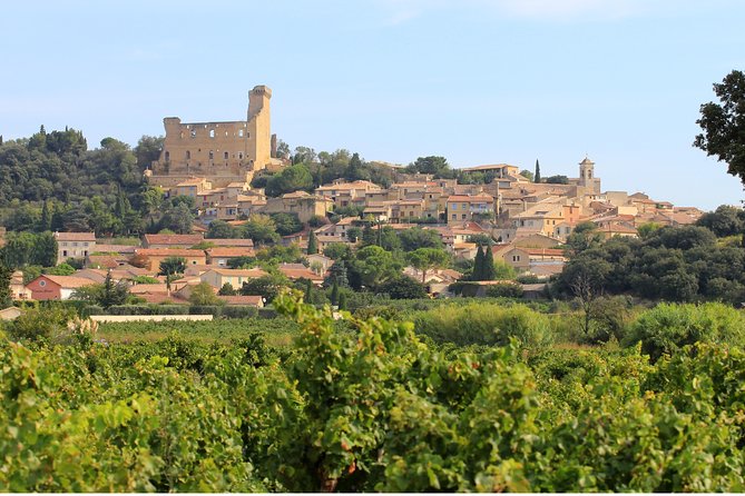 Châteauneuf du Pape Wine Day Tasting Tour including Lunch from Avignon - Châteauneuf-du-Pape brings the name recognition