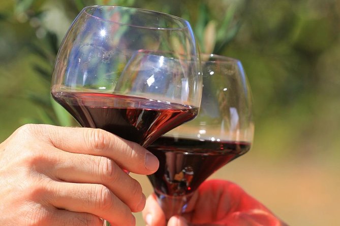 Châteauneuf du Pape Wine Day Tasting Tour including Lunch from Avignon - The first tasting sets the tone