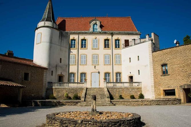 Chateauneuf du Pape wine tour - The 30-minute vineyard introduction