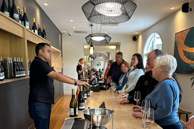 Chefs Private Martinborough Wine Tour with lunch from Wellington - Luna Estate and the vertical Pinot tasting