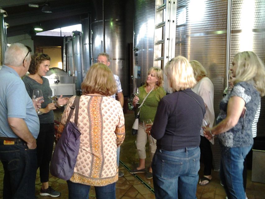 Chianti: 4 Wines +1 Oil Guided Tasting & Tour - The Personal Side of the Visit