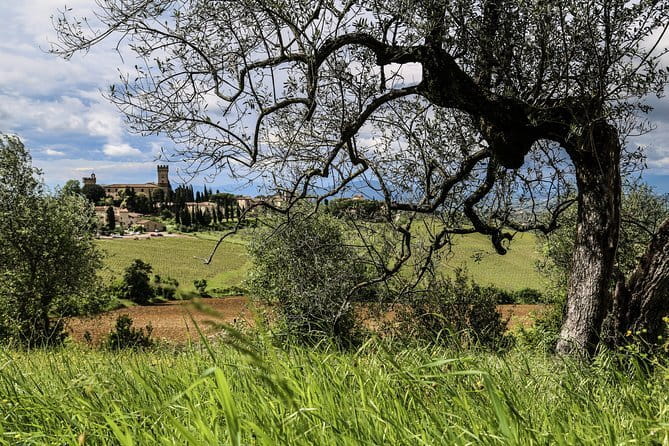 Chianti Delights: A Tale Of Two Wineries With A Vineyard Dinner - What the four-course Tuscan dinner is really like