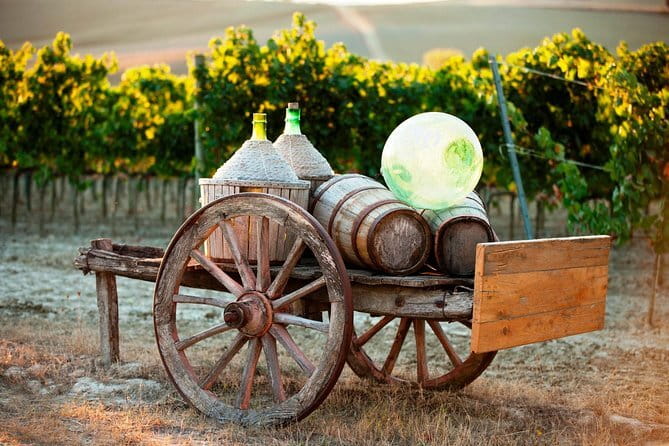 Chianti Delights: A Tale Of Two Wineries With A Vineyard Dinner - Who should book this evening trip?