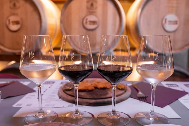 Chianti Grand Tasting: Wines, Oils & Balsamics in the Cellar - Timing, access, and cancellation