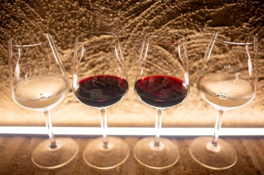 Chianti: Lunch with Wine Tasting at Poggio ai Laghi Winery - What the $41 price really covers