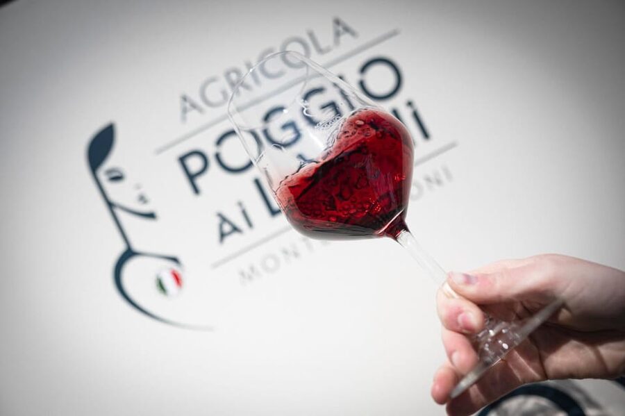 Chianti: Lunch with Wine Tasting at Poggio ai Laghi Winery - Lasagna gives the tasting a proper center