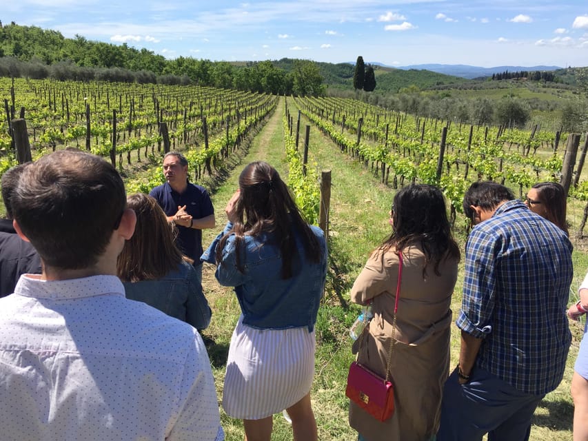 Chianti: Vineyard to Bottle Winery Visit with Tastings - A good fit for first-time wine visitors