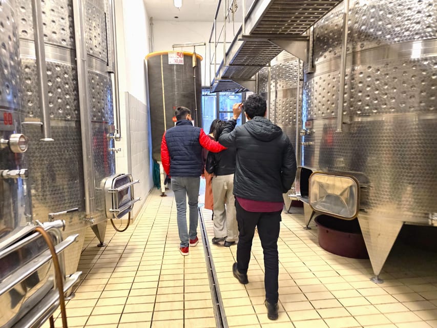 Chianti: Vineyard to Bottle Winery Visit with Tastings - The practical limits you should know