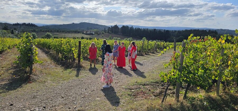 Chianti: Vineyard to Bottle Winery Visit with Tastings - Should you book Casa Sola Winery?