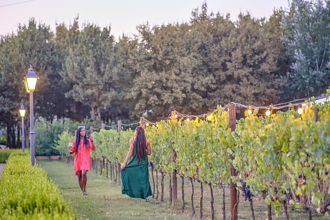 Chianti Vineyards Escape from Florence with Two Wine Tastings - What the $53.10 price really buys