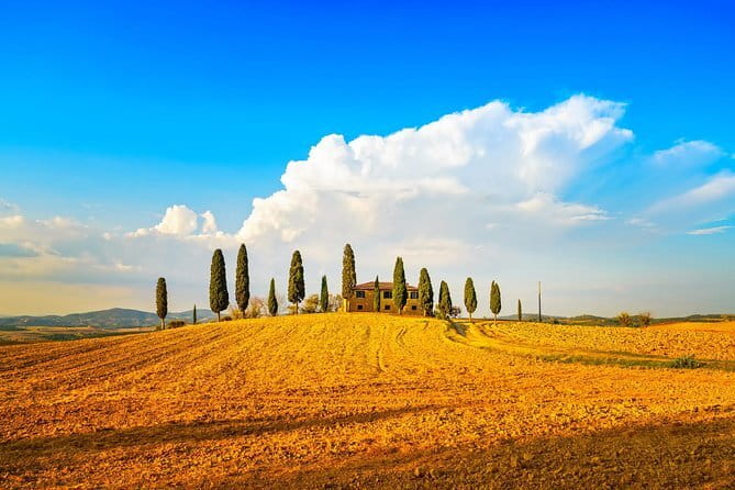 Chianti Vineyards Escape from Florence with Two Wine Tastings - Group size, pace, and the human factor