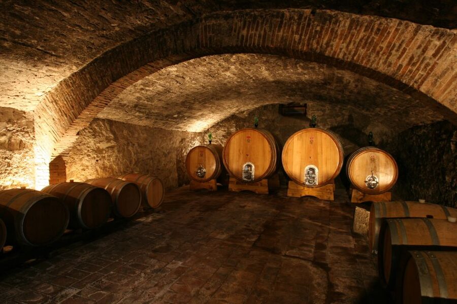 Chianti: Wine and Olive Oil Tasting with Cellar Tour - Arriving at Fattoria Santo Stefano in Greve
