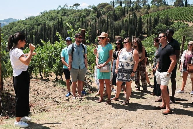 Chianti Wine Tour from Florence - Why this Chianti tour works well from Florence