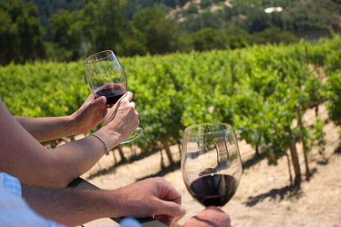 Chianti Wine Tour from Florence - Group size, languages, and the tour rhythm