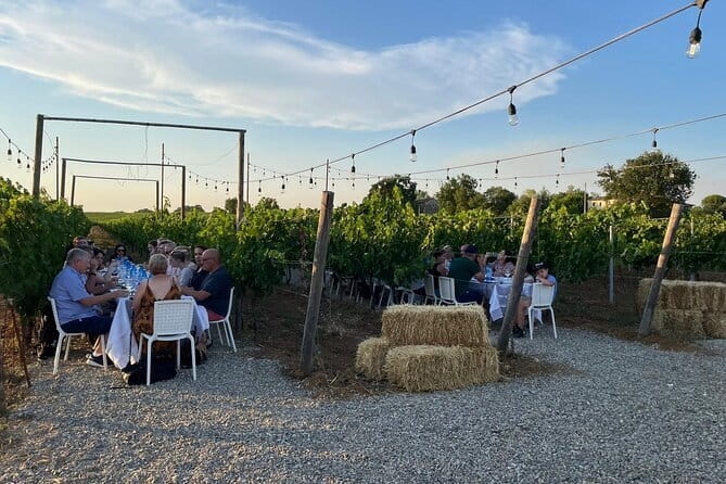 Chianti Wine Tour from Florence with Tastings - Two wineries and one medieval village